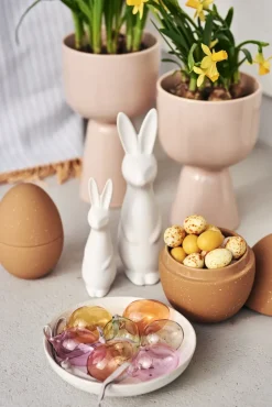 Swedish rabbit small, white