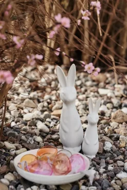 Swedish rabbit small, white