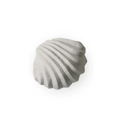 The Clam Shell sculpture 13 cm, Limestone