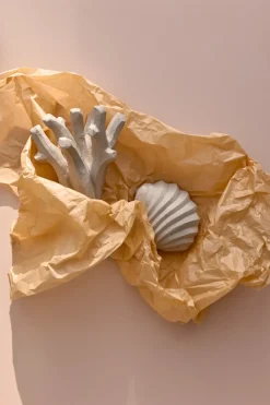 The Clam Shell sculpture 13 cm, Limestone