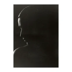 The Silhouette poster, 50x70 cm