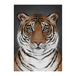 Tiger poster, 30x40 cm