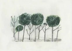Trees poster 50x70 cm, Black- off white