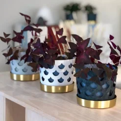Trio flower pot drop small Ø12 cm, white