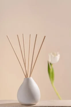 Volant scented sticks 150 ml, Fresh Zest
