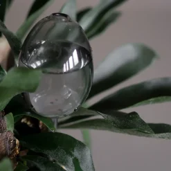 Waterbubble self-watering device, clear