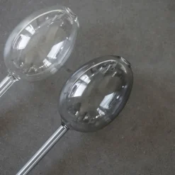 Waterbubble self-watering device, clear
