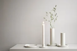 Wave candle sticks, Shiny mole