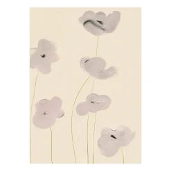 White Vallmo poster, 30x40 cm