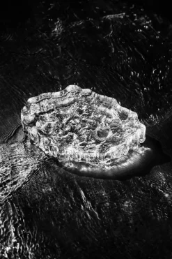 Wirkkala Ice platter art piece Ø13,5 cm, Clear